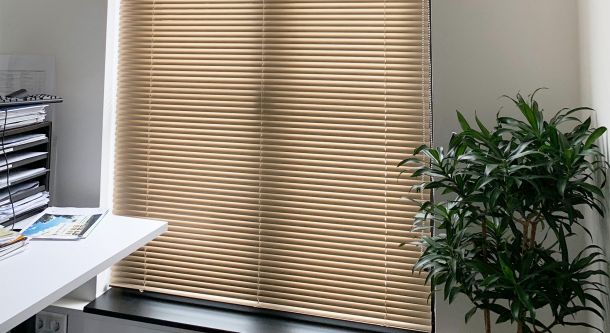 Innenjalousie im Büro mit Pflanzen
